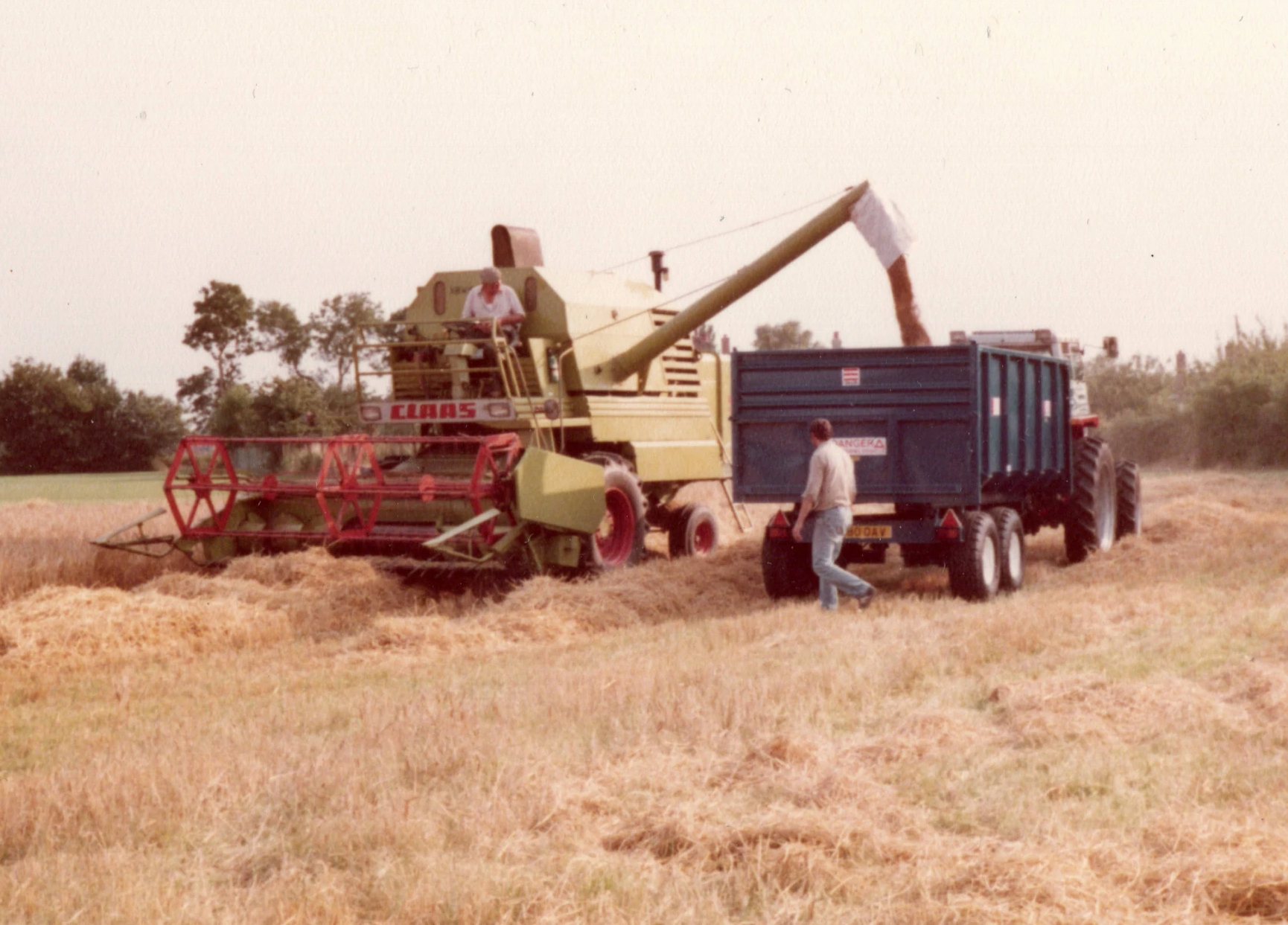 Oxwillow farm history