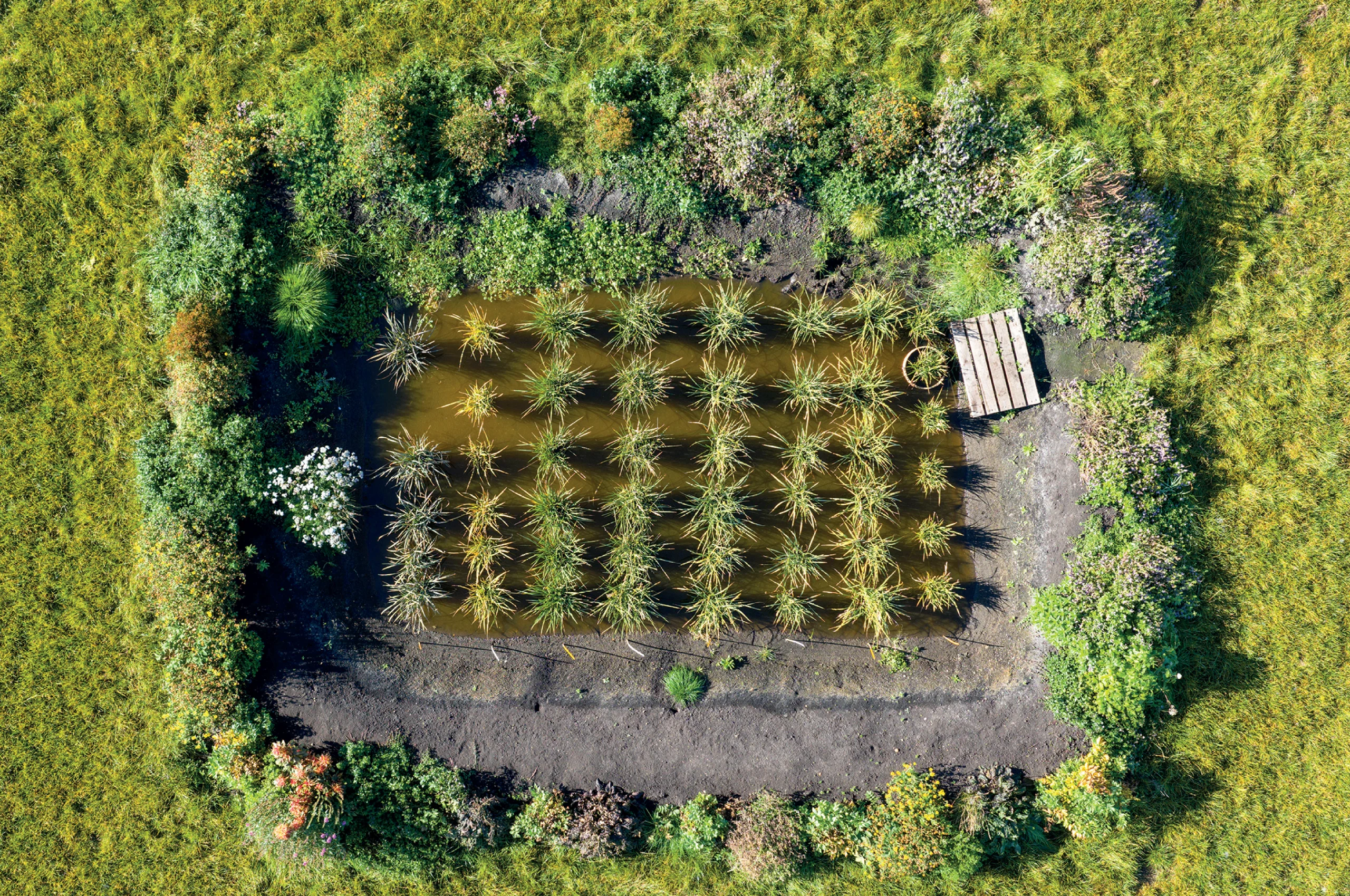 Aerial view of Oxwillow wetland habitat