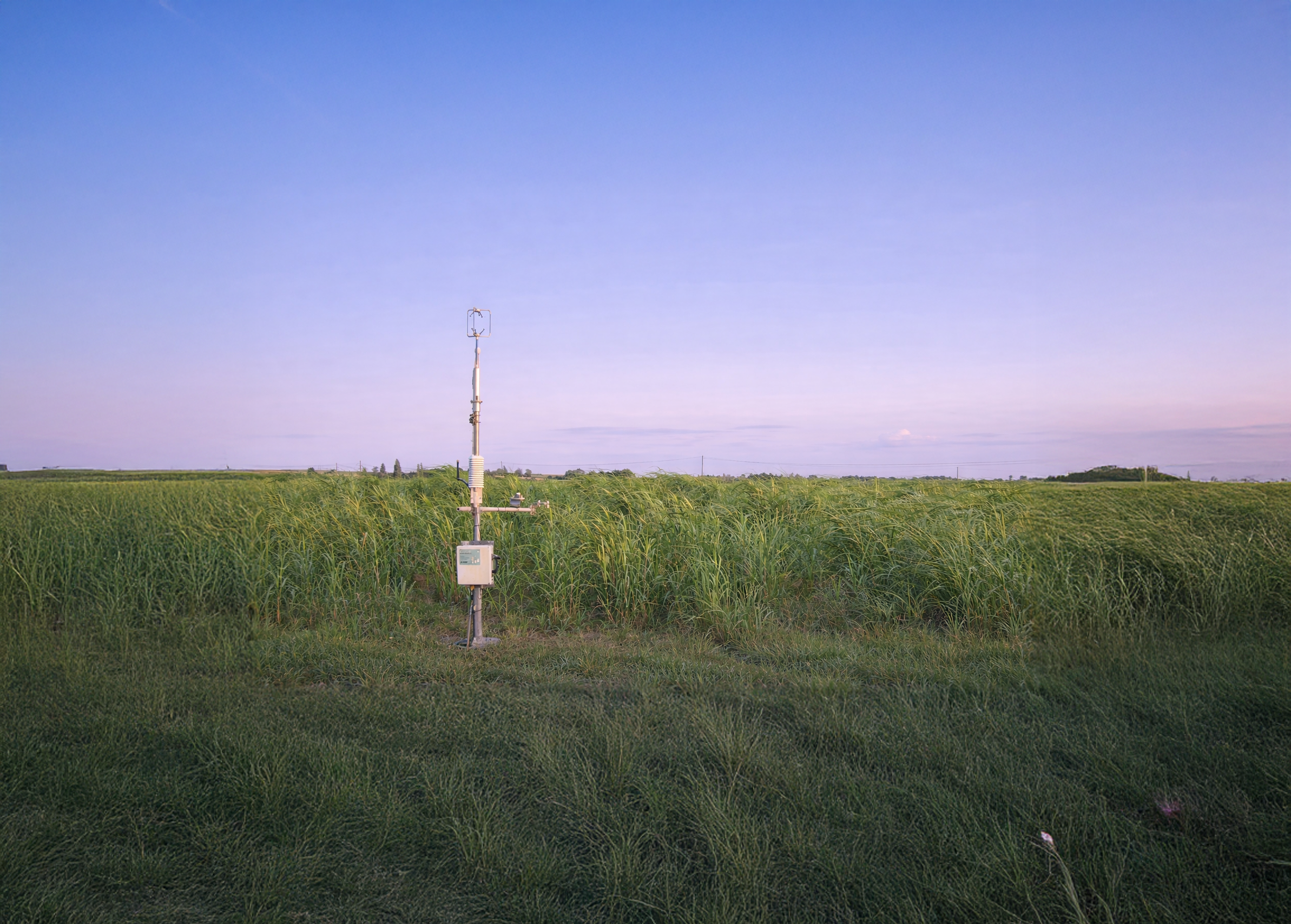 Oxwillow research monitoring pole